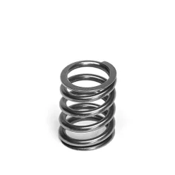 Supertech Valve Spring Set Audi 2.5L 20v EA855