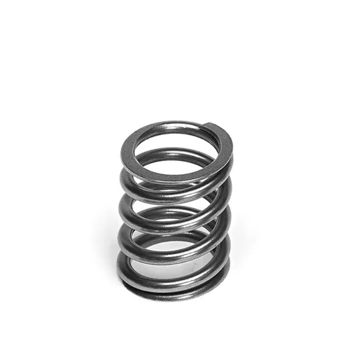 Supertech Valve Spring Set Audi 2.5L 20v EA855