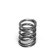 Supertech Valve Spring Set Audi 2.5L 20v EA855