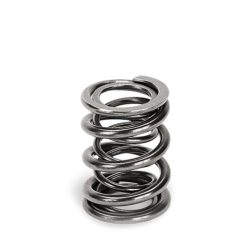 Supertech Exhaust Valve Spring Set VAG 1.8T 20v