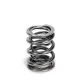 Supertech Valve Spring Set Honda B series