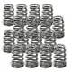 Supertech Valve Spring Set Mini R53, Honda K20/K24/F20C