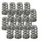 Supertech Valve Spring Set Nissan VQ37