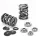 Supertech Valve Spring Kit VAG 1.8L 20v T