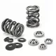 Supertech Valve Spring Kit VAG 1.8L 20v T