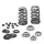Supertech Valve Spring Kit Toyota B58