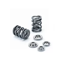   Supertech BMW M54/S50 Dual Valve Spring and Titanium Retainer Kit  - SPRK-H1005D-BM