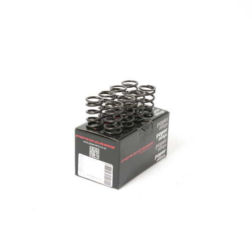 Piper Single Valve Springs Opel C12/C13/C14/C16 GSI