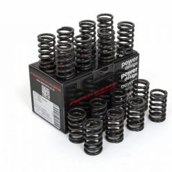 Piper Single Valve Springs Ford 2.0L 16v RS2000 N7A