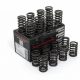 Piper Single Valve Springs Ford 2.0L 16v RS2000 N7A