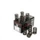 Piper Single Valve Springs Triumph 1.2/1.3/1.5 4-Cyl