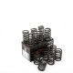 Piper Single Valve Springs Ford 3.0L V6 Essex