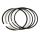 Wiseco Piston Ring Set 98.00mm(1/1.2/2.8)