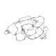 Cometic Bottom End Gasket Kit Honda TRX450R/ER '06-08