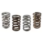 Valve Springs