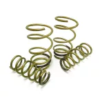 Lowering Spring Kits